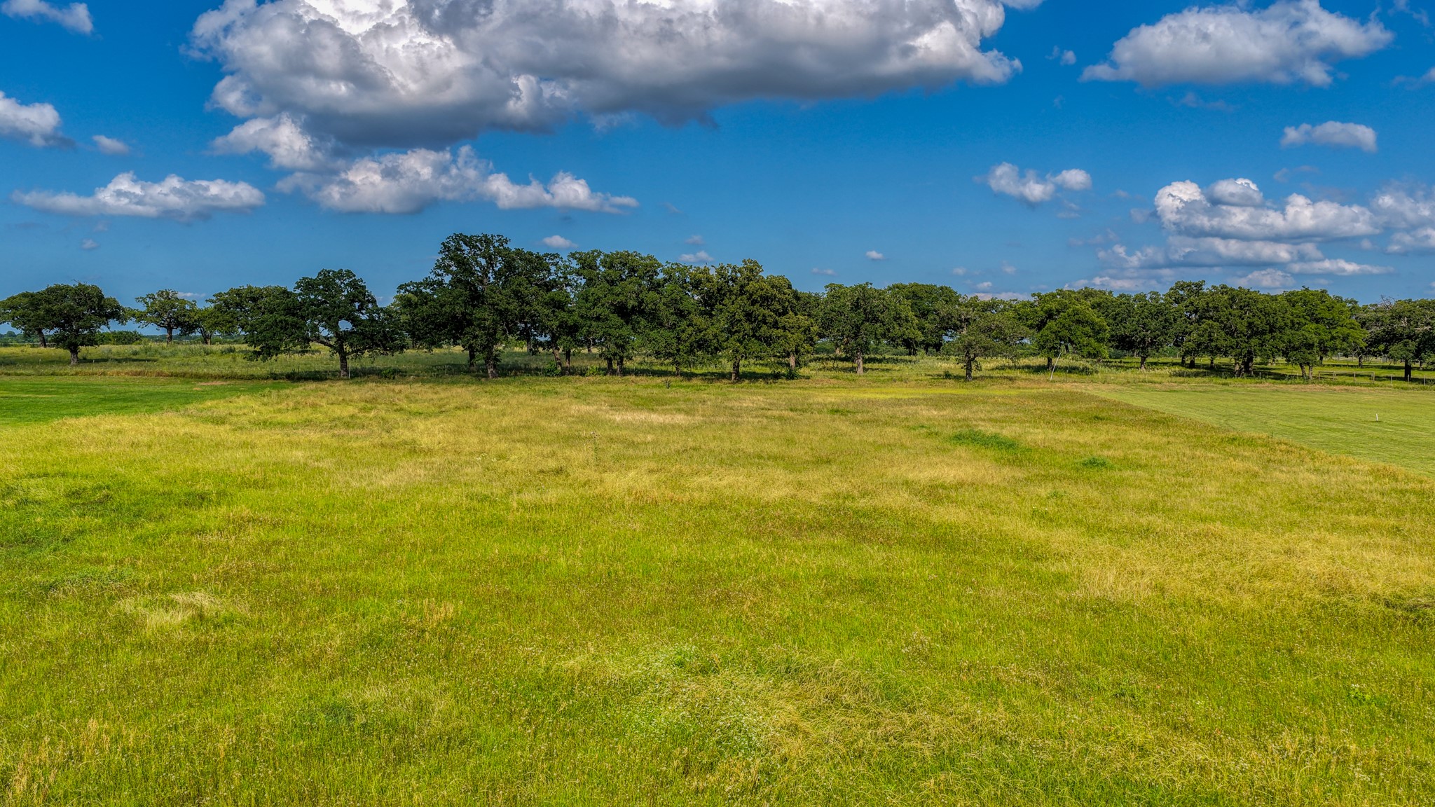 2013 Swallowtail Court Poolville TX 76487