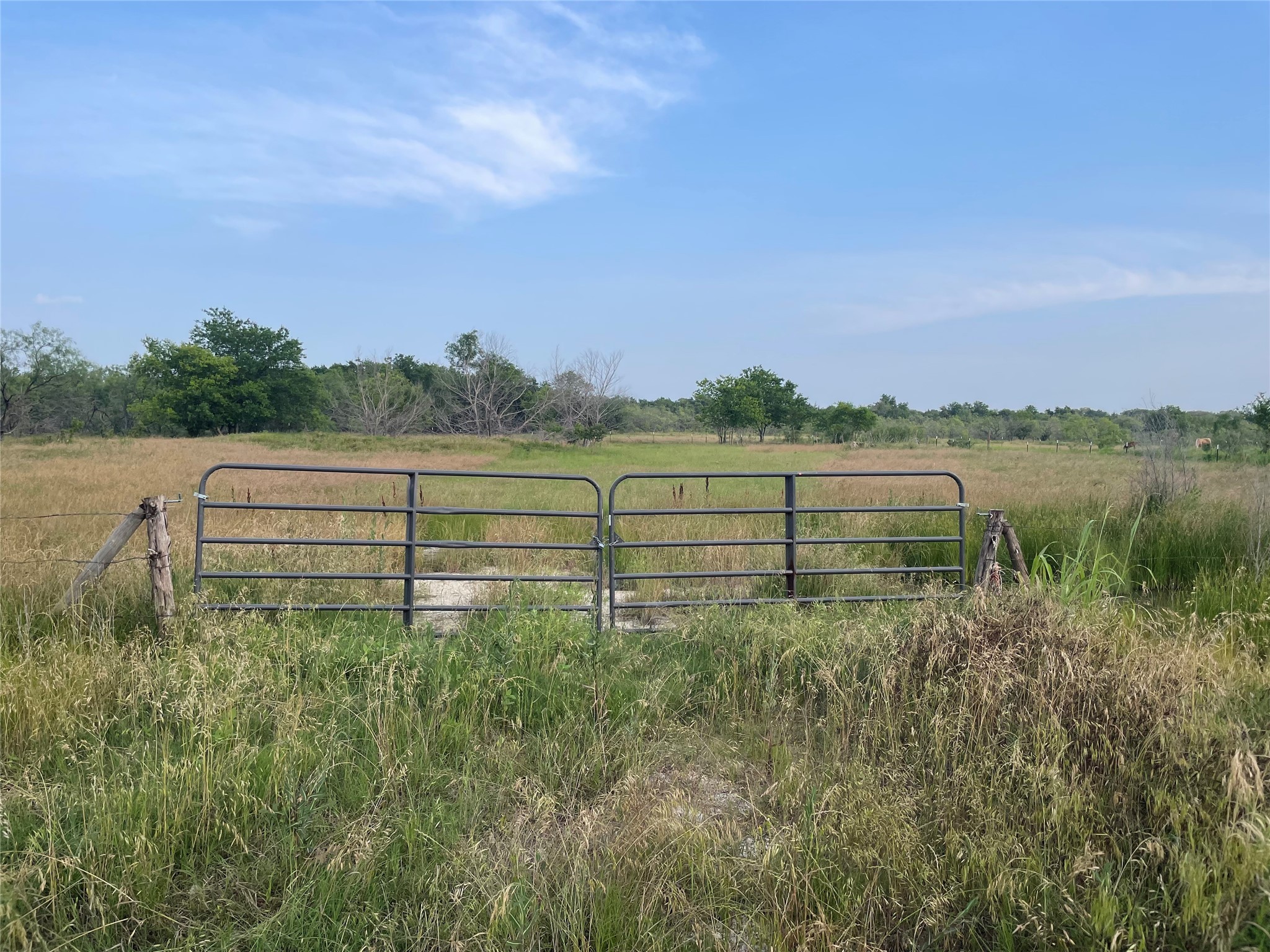 1945 Highway 84 Mexia TX 76667
