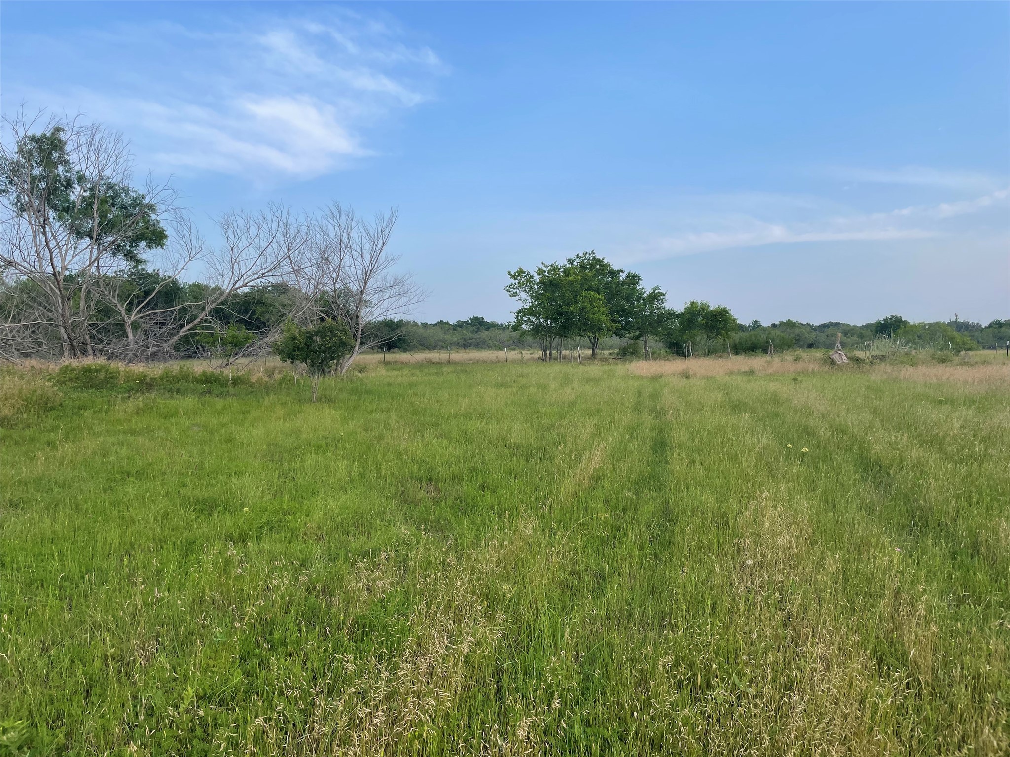 1945 Highway 84 Mexia TX 76667