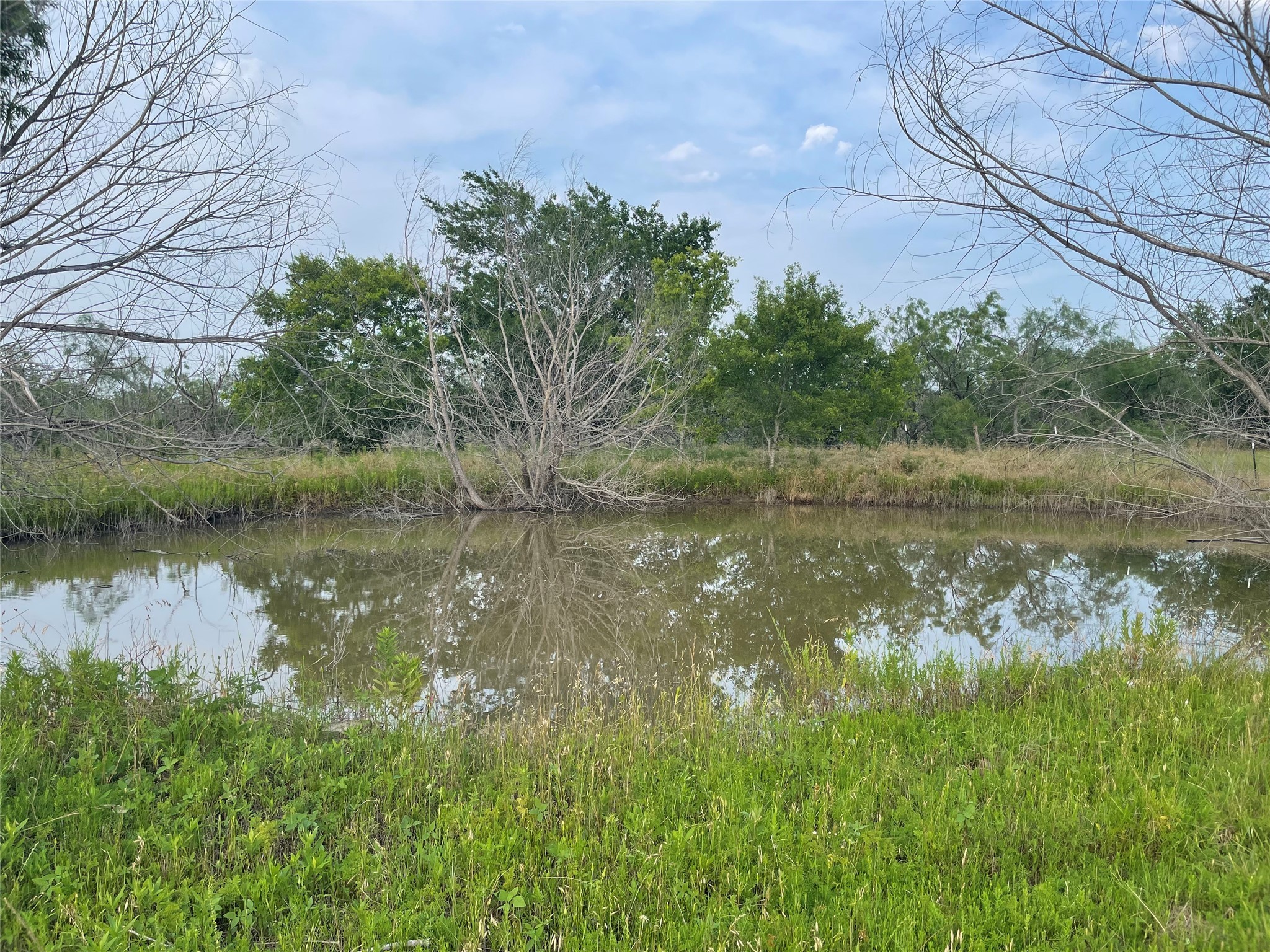 1945 Highway 84 Mexia TX 76667