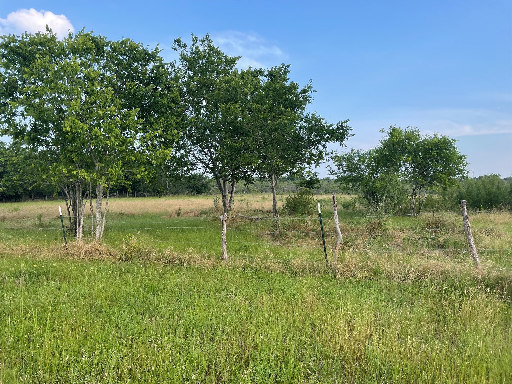 1945 Highway 84 Mexia TX 76667