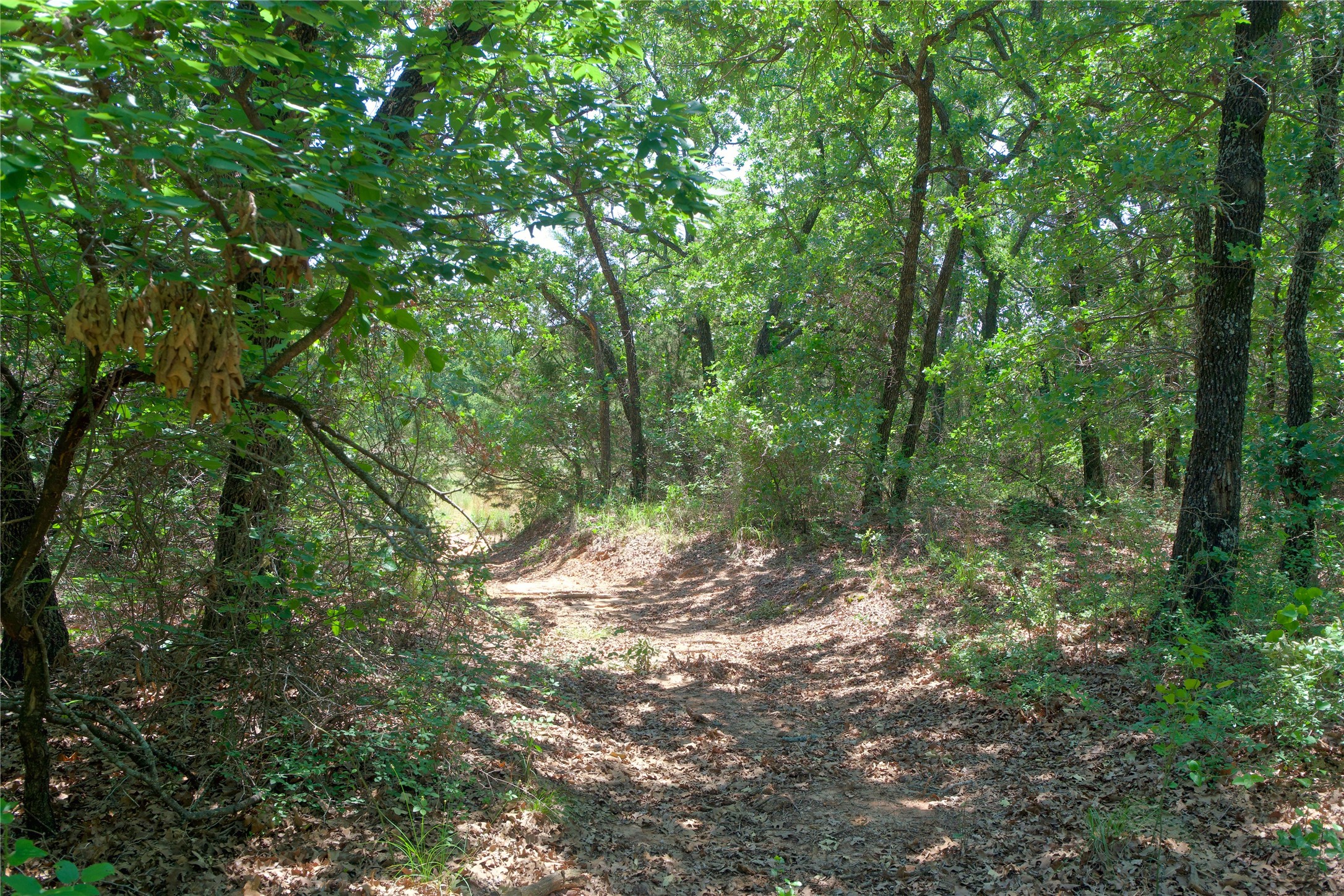 Tbd Fm 2382 St Jo TX 76265