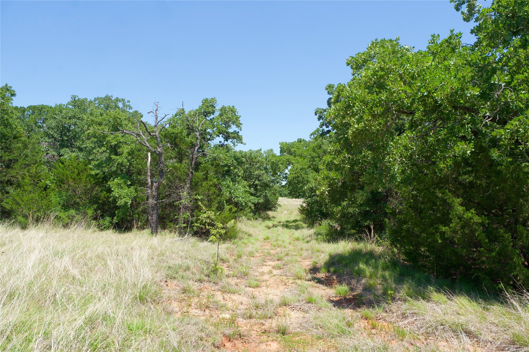 Tbd Fm 2382 St Jo TX 76265