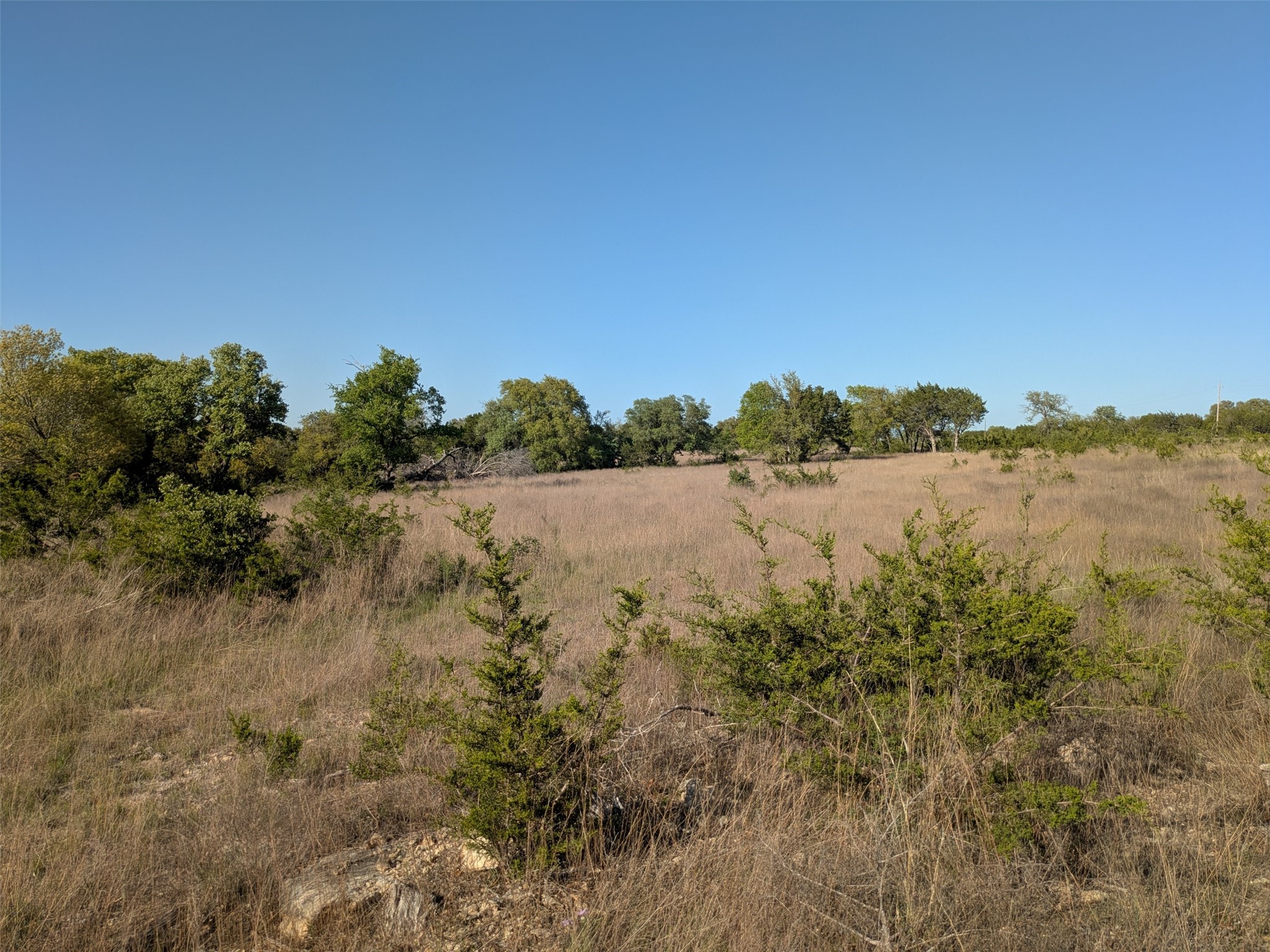 1314 Cr 127 Carlton TX 76456