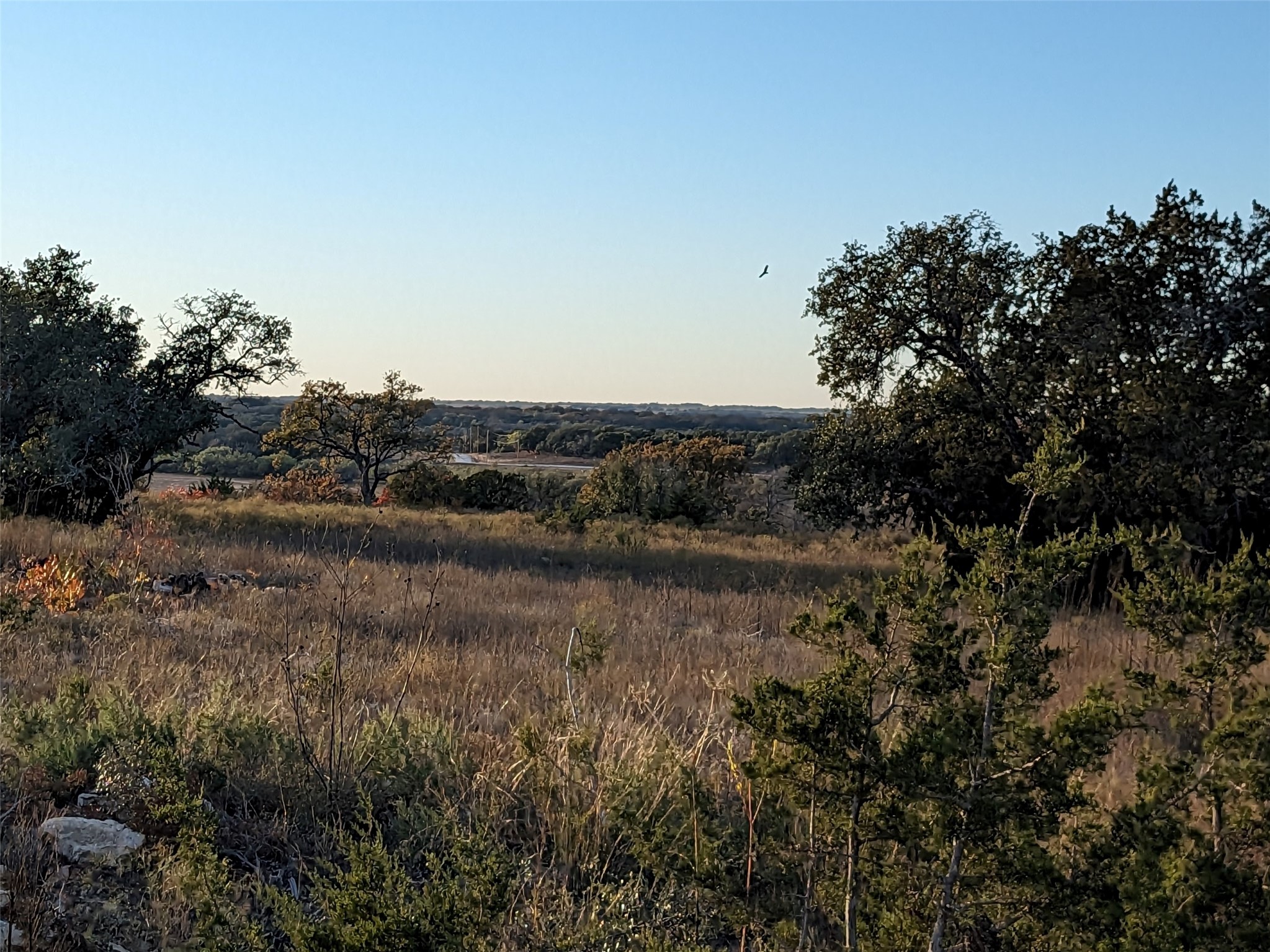 1314 Cr 127 Carlton TX 76456