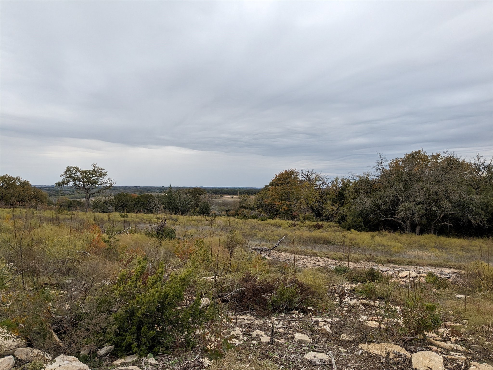 1314 Cr 127 Carlton TX 76456