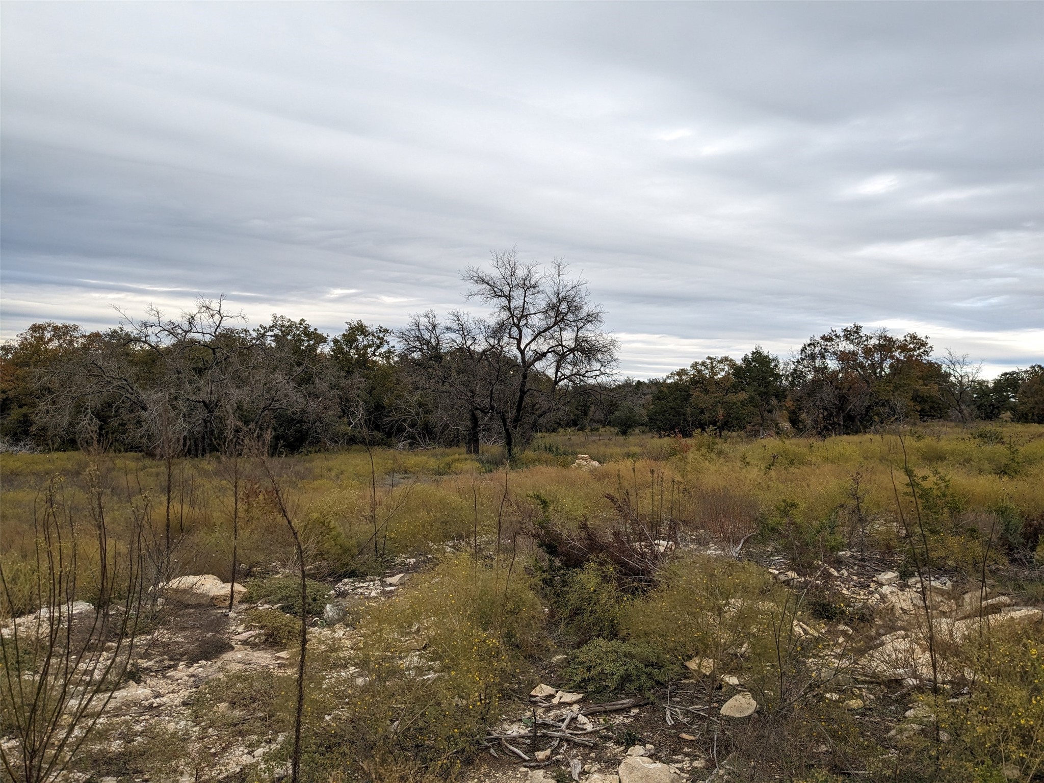 1314 Cr 127 Carlton TX 76456
