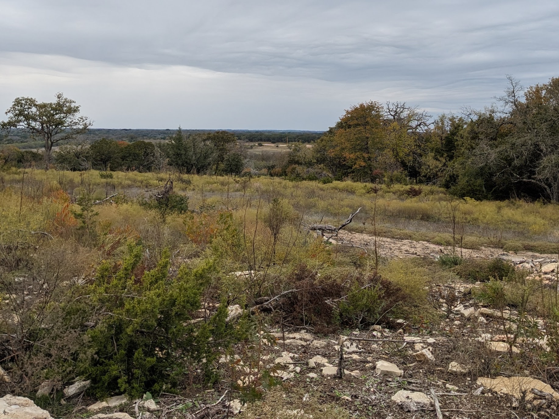 1314 Cr 127 Carlton TX 76456