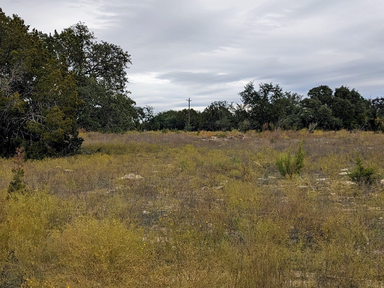 1314 Cr 127 Carlton TX 76456
