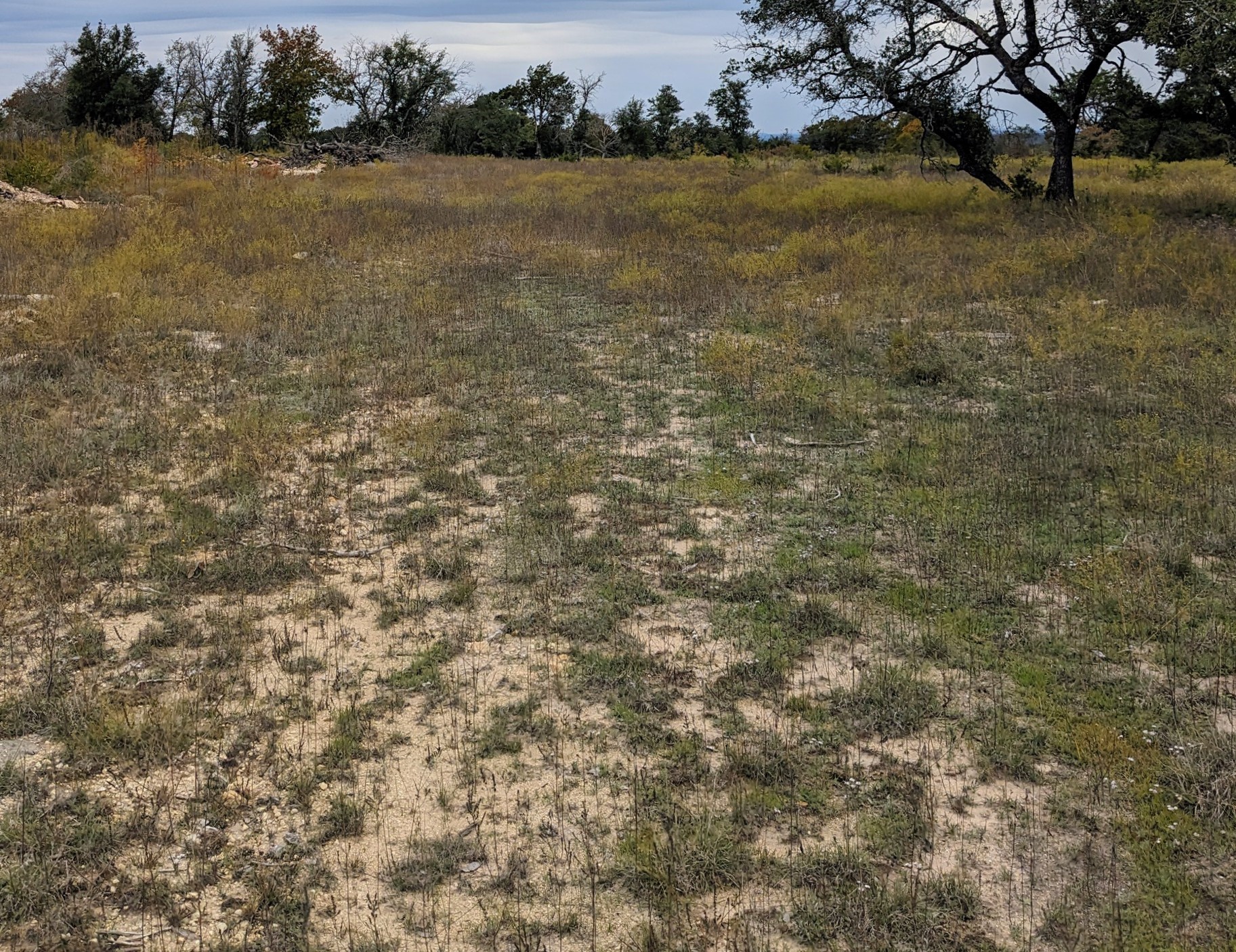 1314 Cr 127 Carlton TX 76456