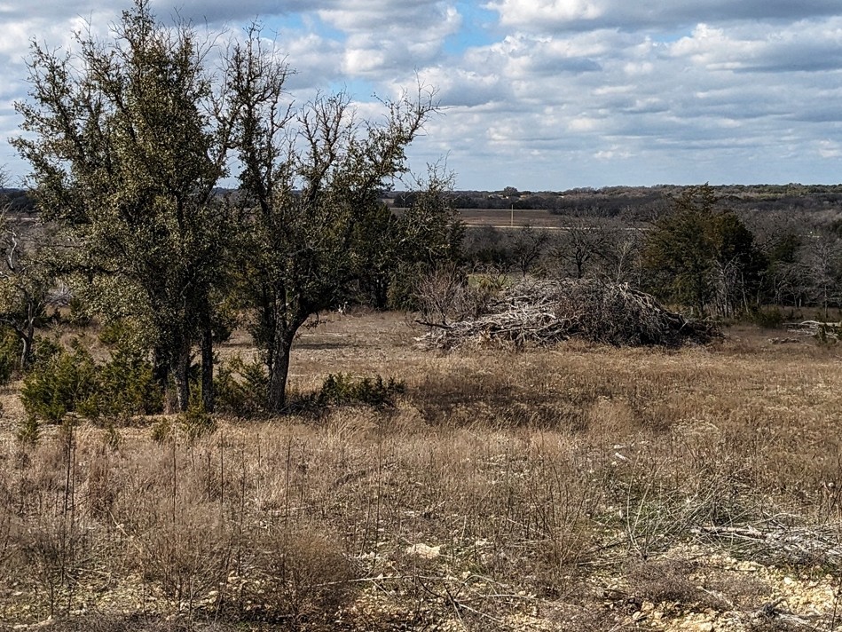 1314 Cr 127 Carlton TX 76456
