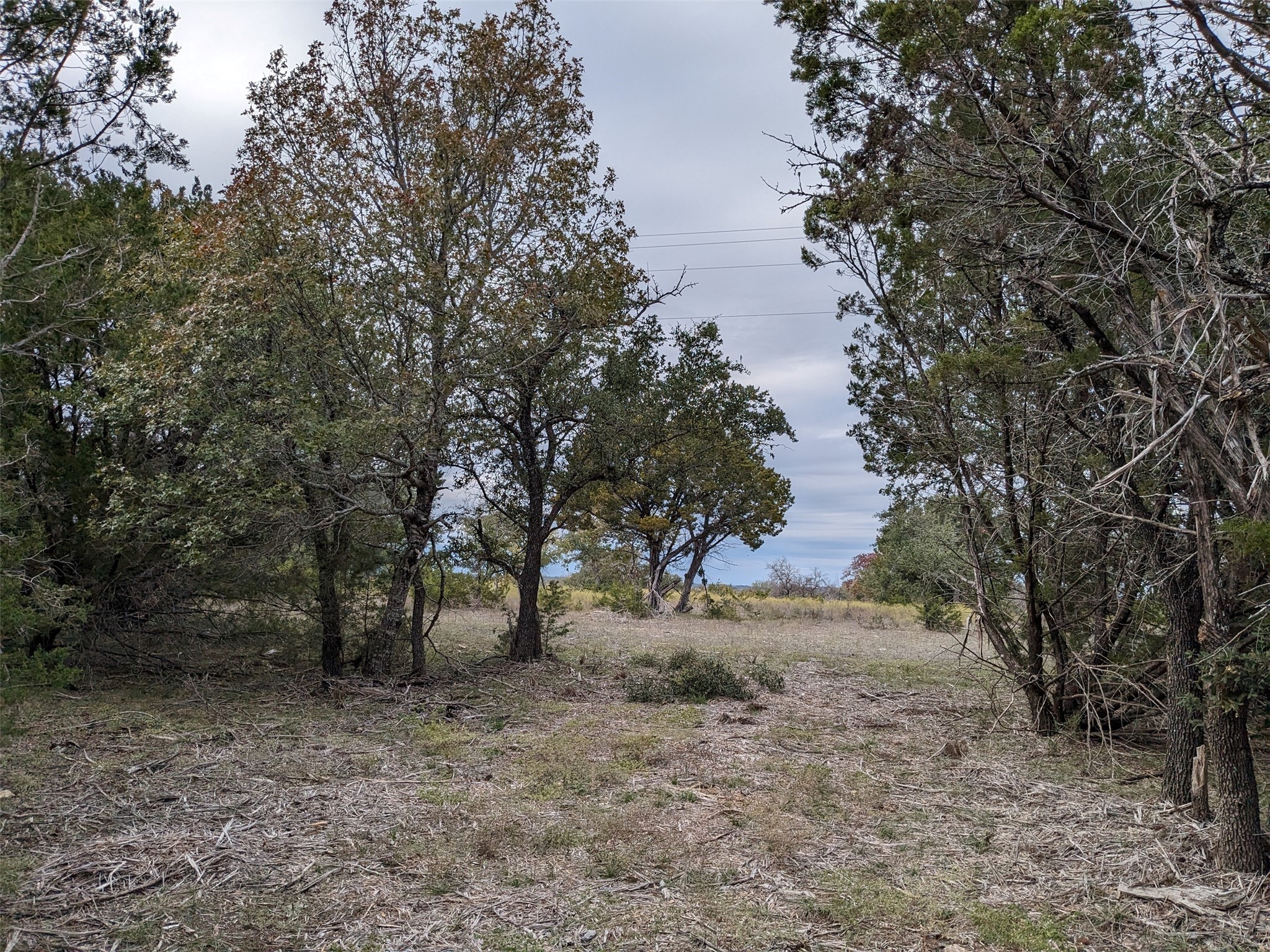 1314 Cr 127 Carlton TX 76456