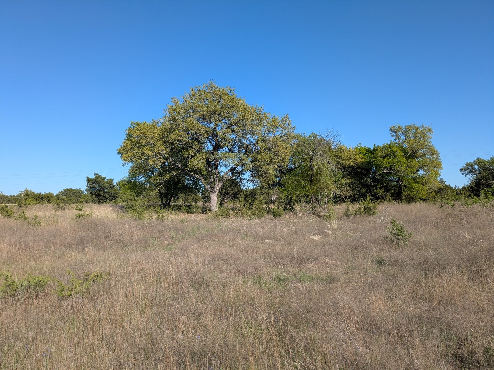 1314 Cr 127 Carlton TX 76456