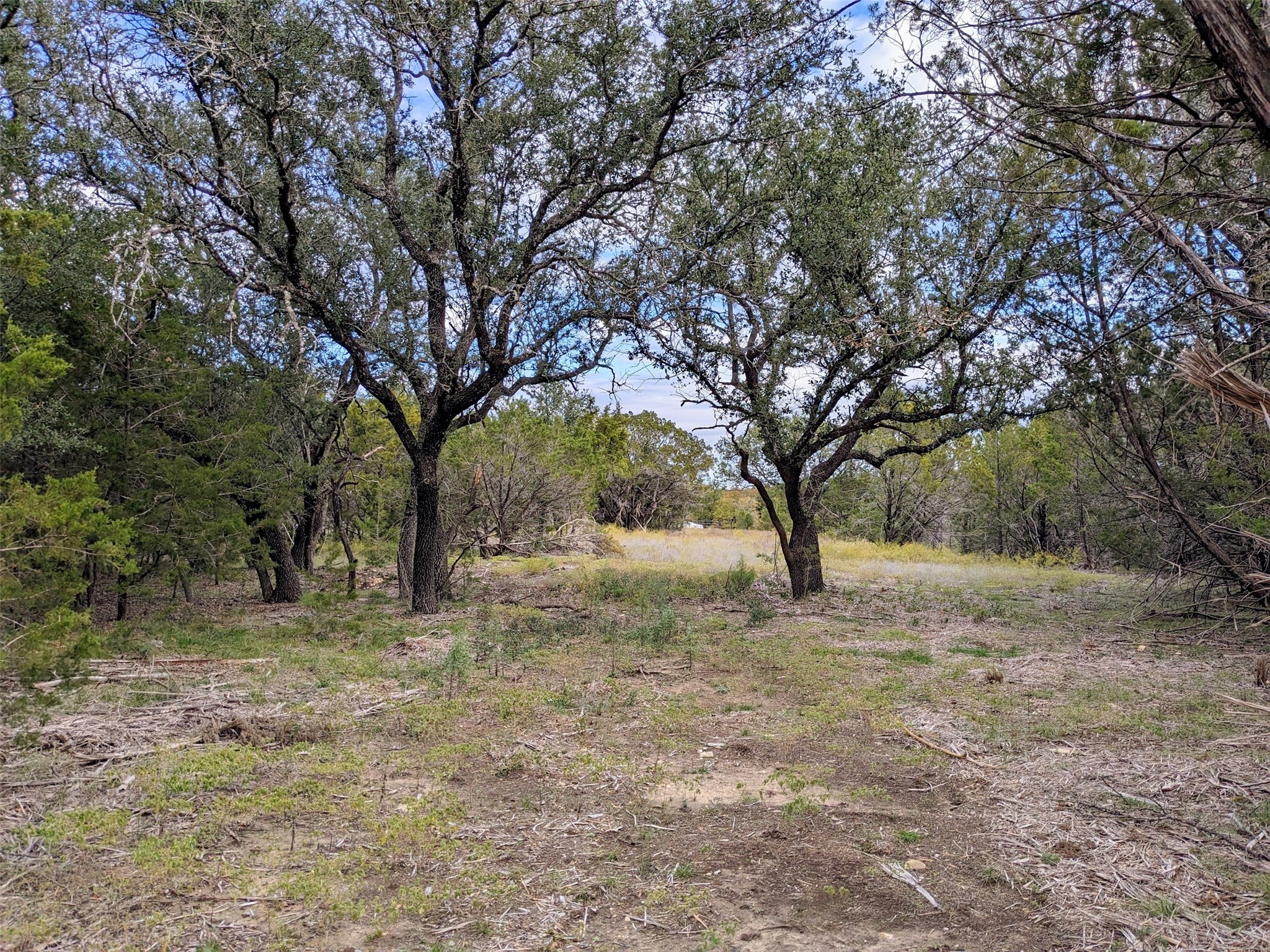 1314 Cr 127 Carlton TX 76456