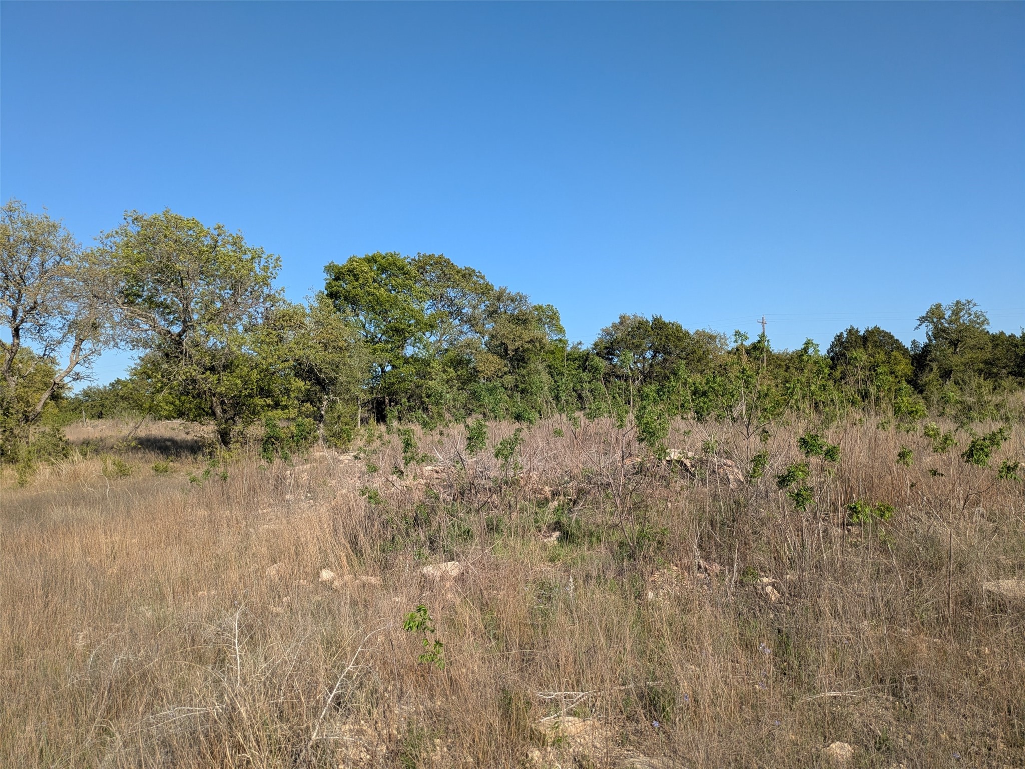 1314 Cr 127 Carlton TX 76456