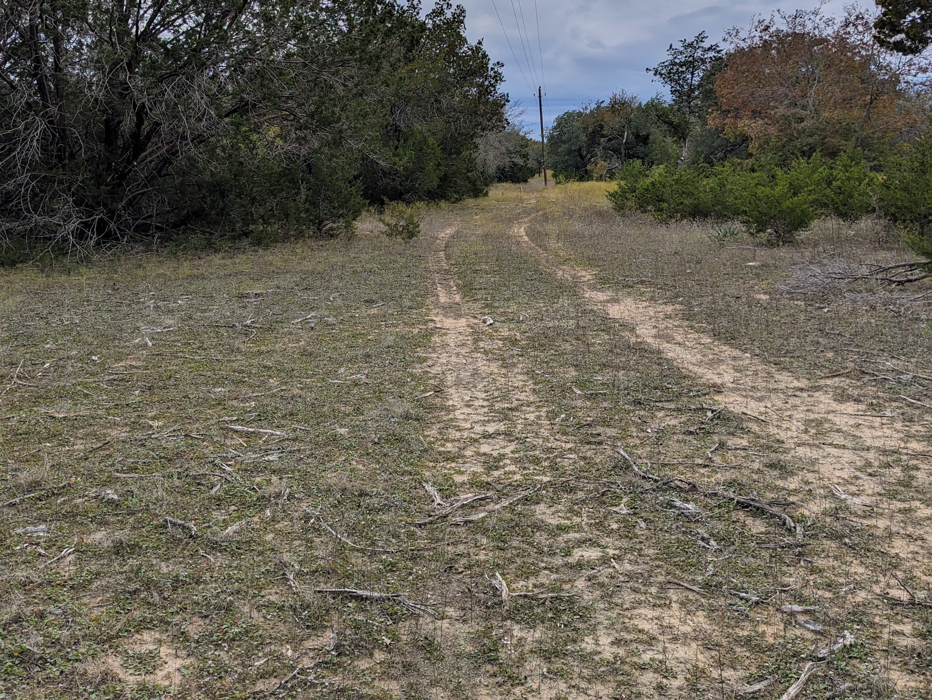 1314 Cr 127 Carlton TX 76456
