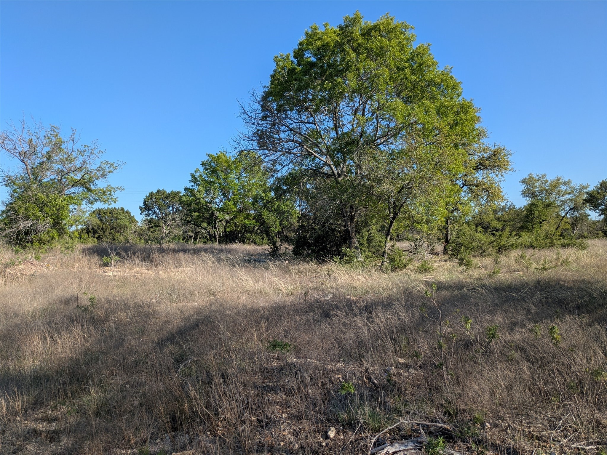 1314 Cr 127 Carlton TX 76456