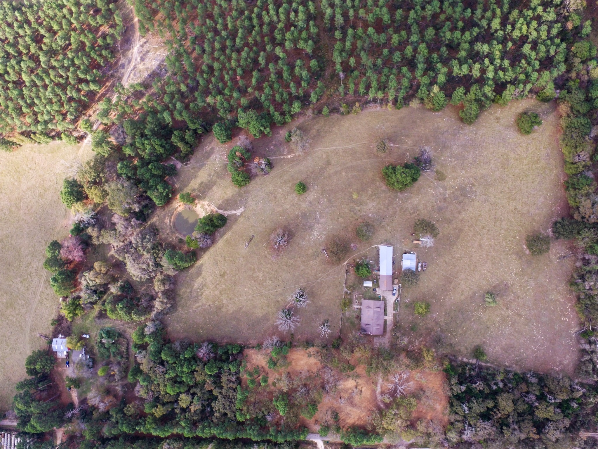 Tbd Fm-1990 Palestine TX 75801