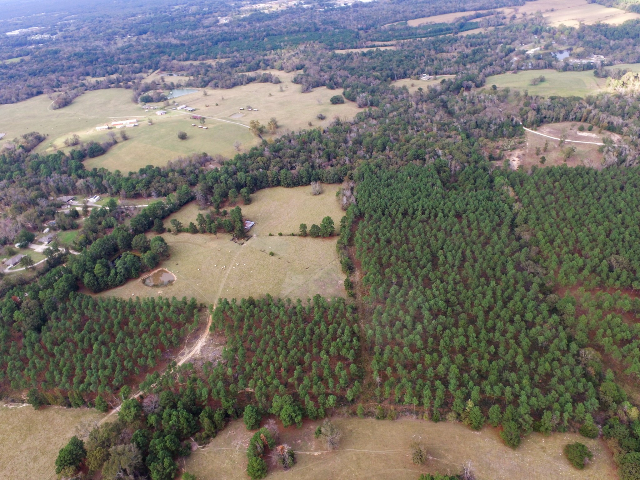 Tbd Fm-1990 Palestine TX 75801