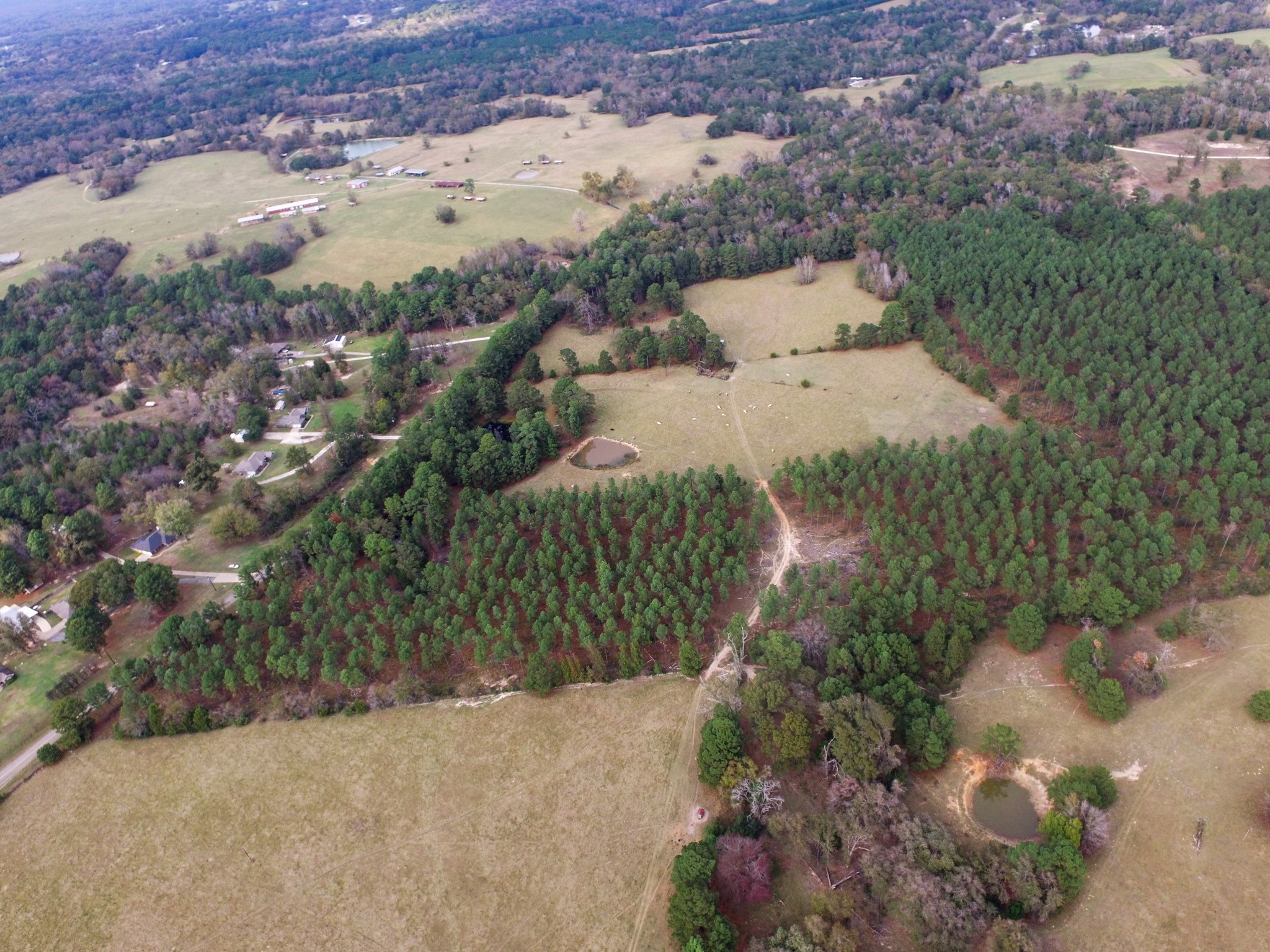 Tbd Fm-1990 Palestine TX 75801