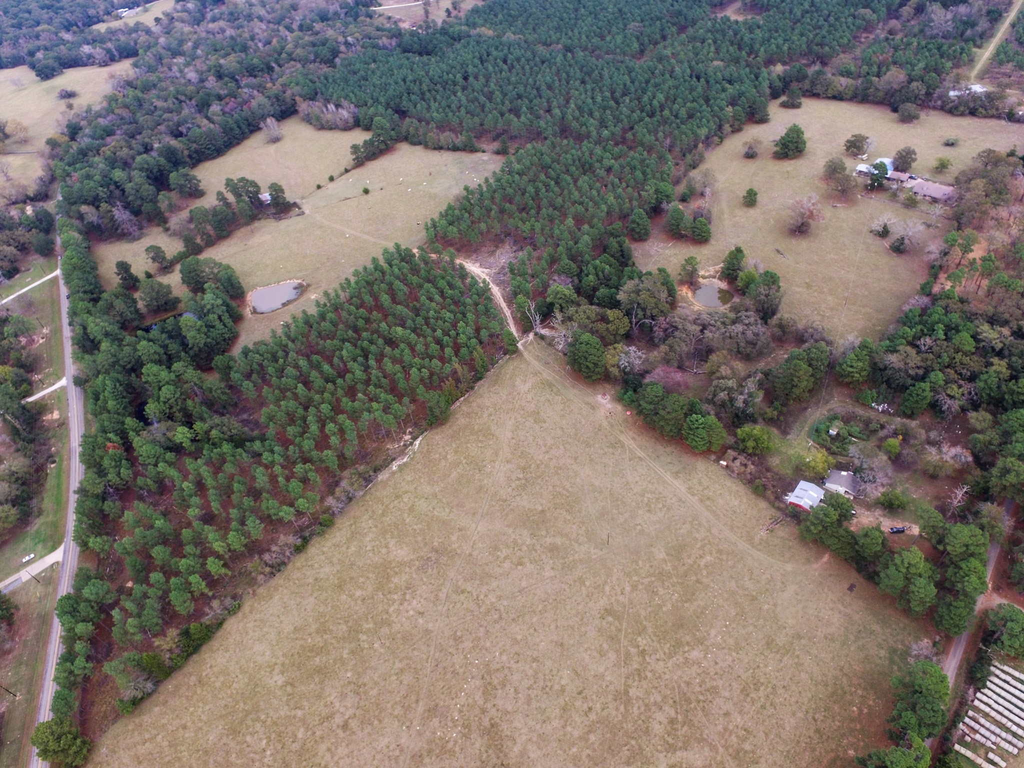 Tbd Fm-1990 Palestine TX 75801