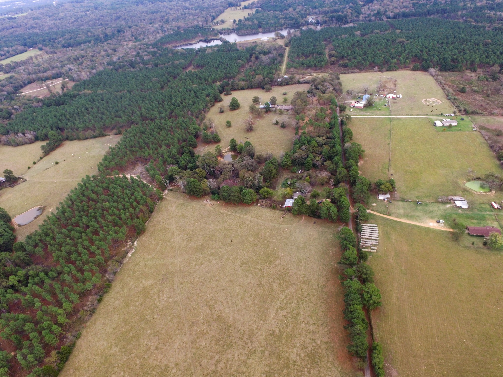 Tbd Fm-1990 Palestine TX 75801