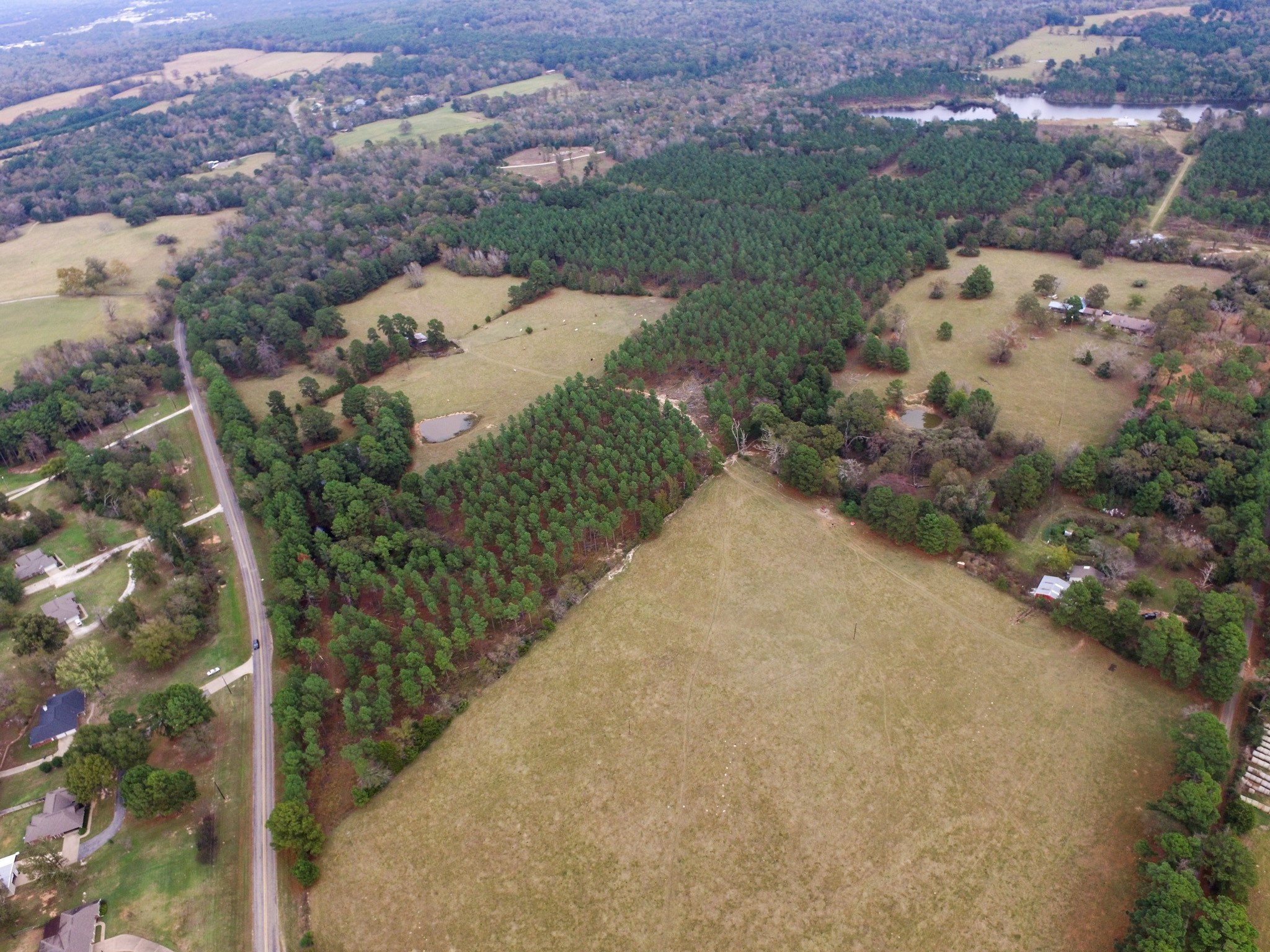 Tbd Fm-1990 Palestine TX 75801