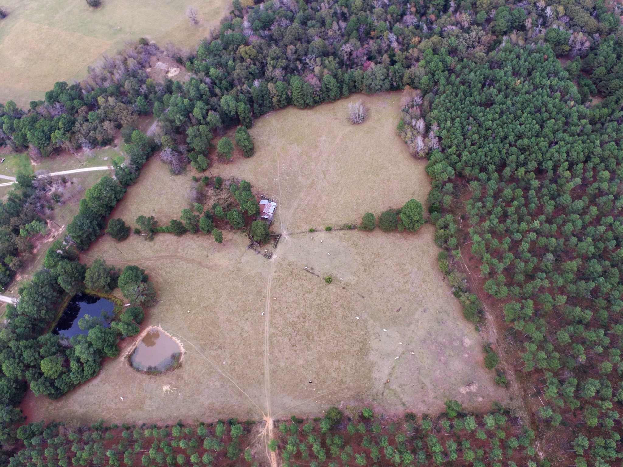 Tbd Fm-1990 Palestine TX 75801