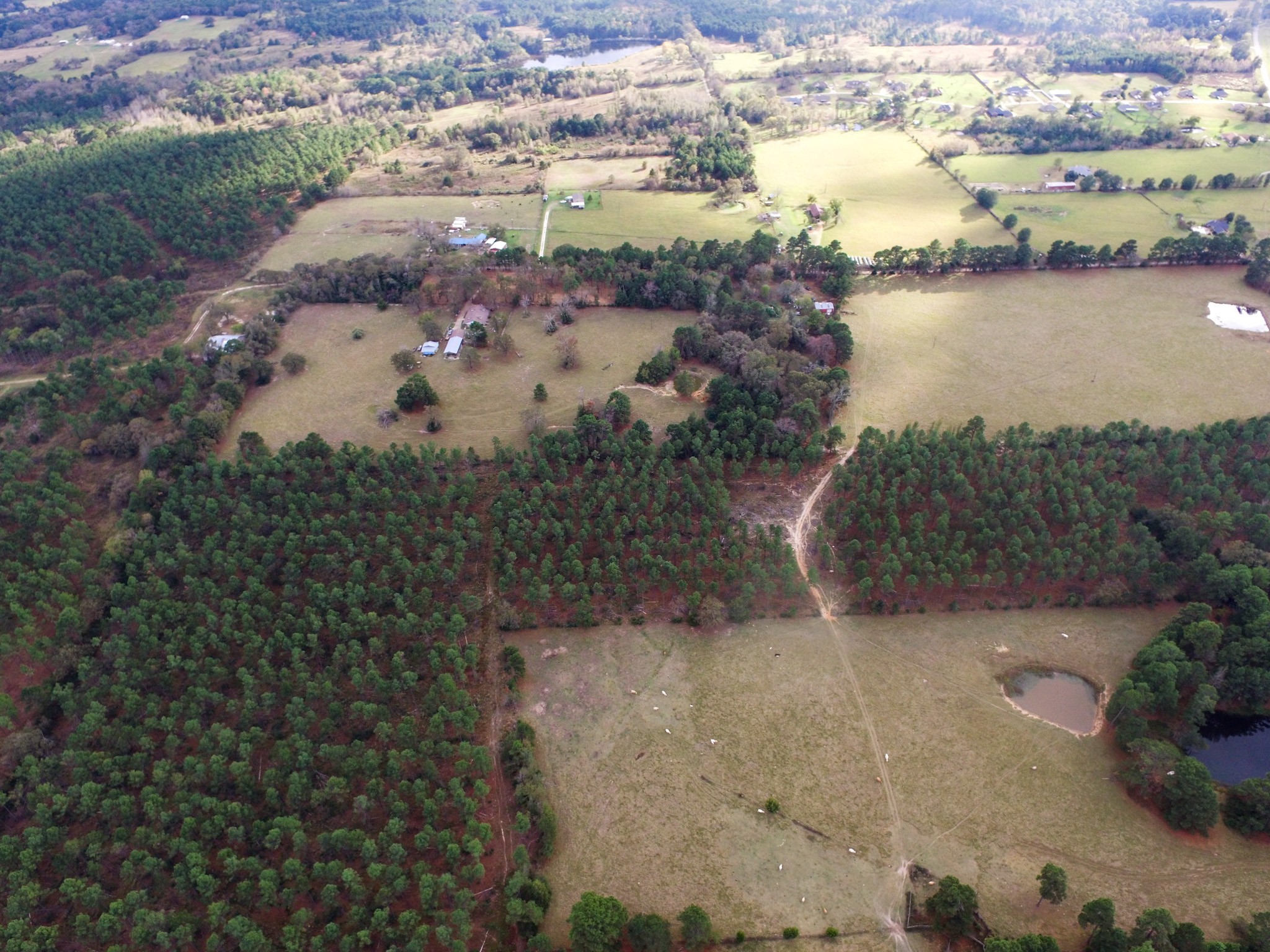 Tbd Fm-1990 Palestine TX 75801