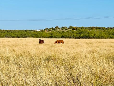 1089 Tennyson Road Bronte TX 76933