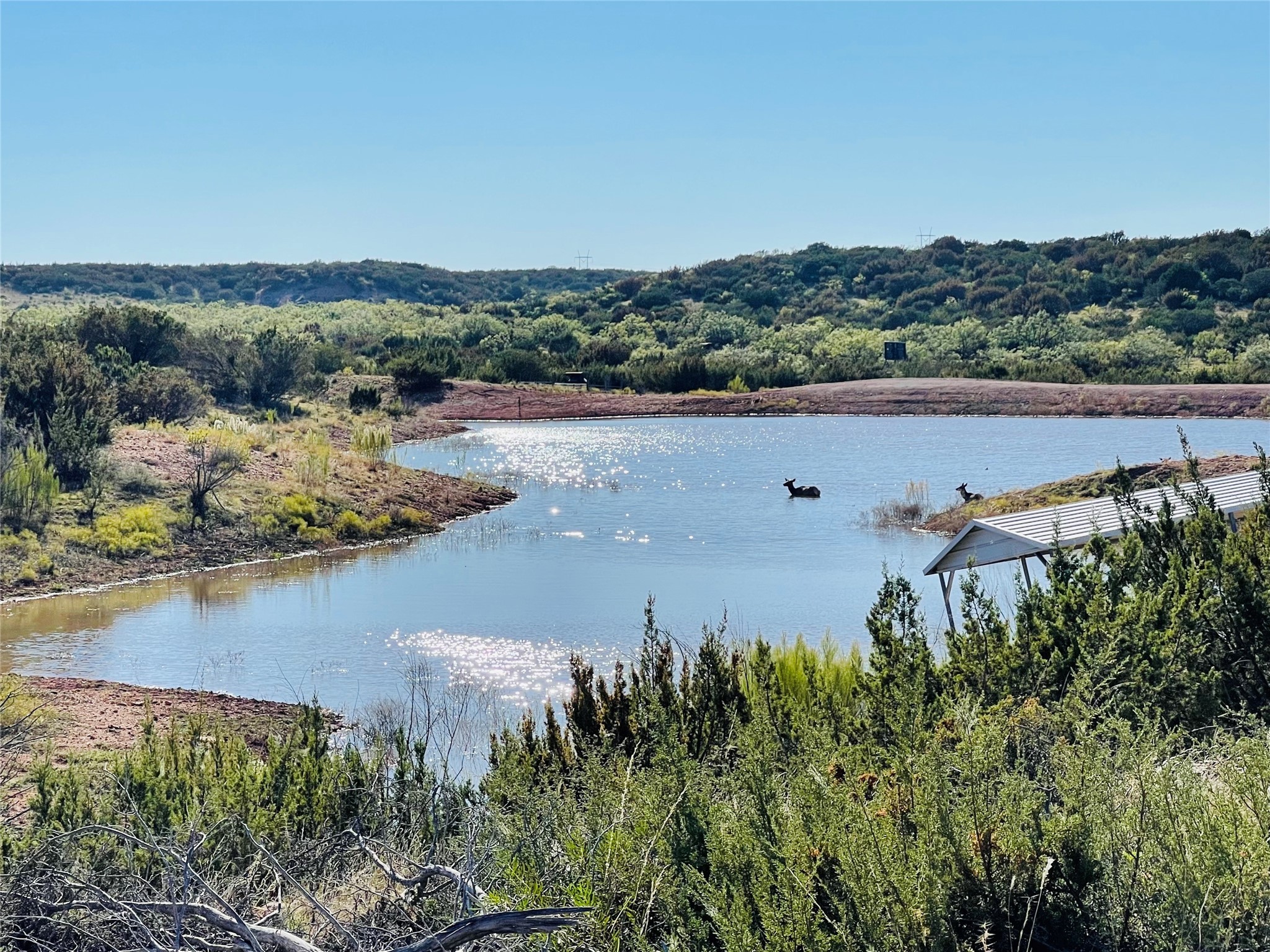 1089 Tennyson Road Bronte TX 76933
