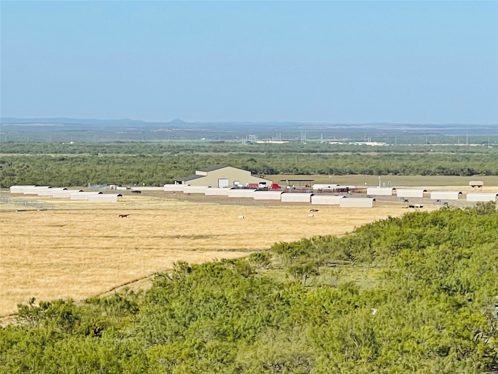 1089 Tennyson Road Bronte TX 76933