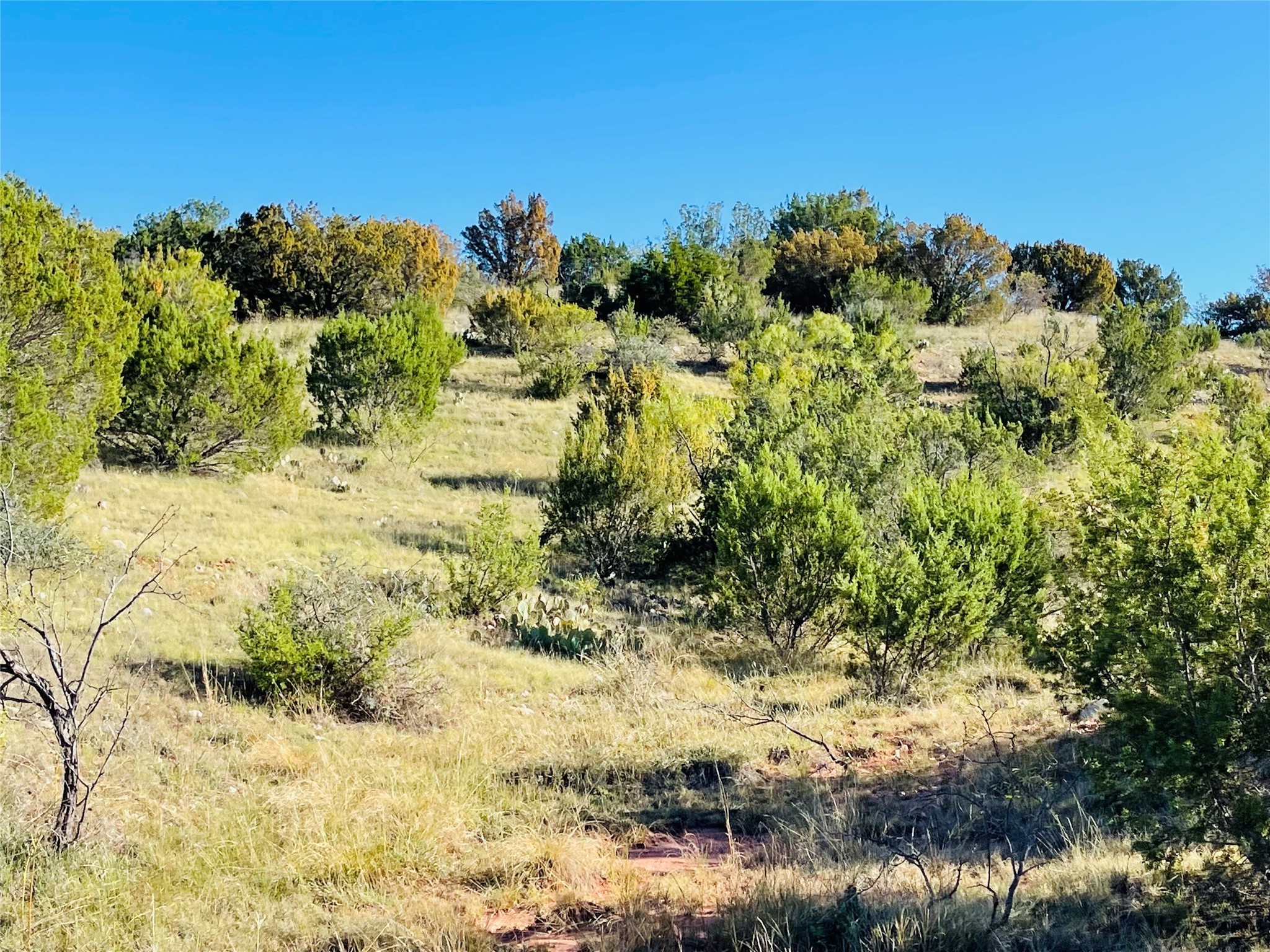 1089 Tennyson Road Bronte TX 76933