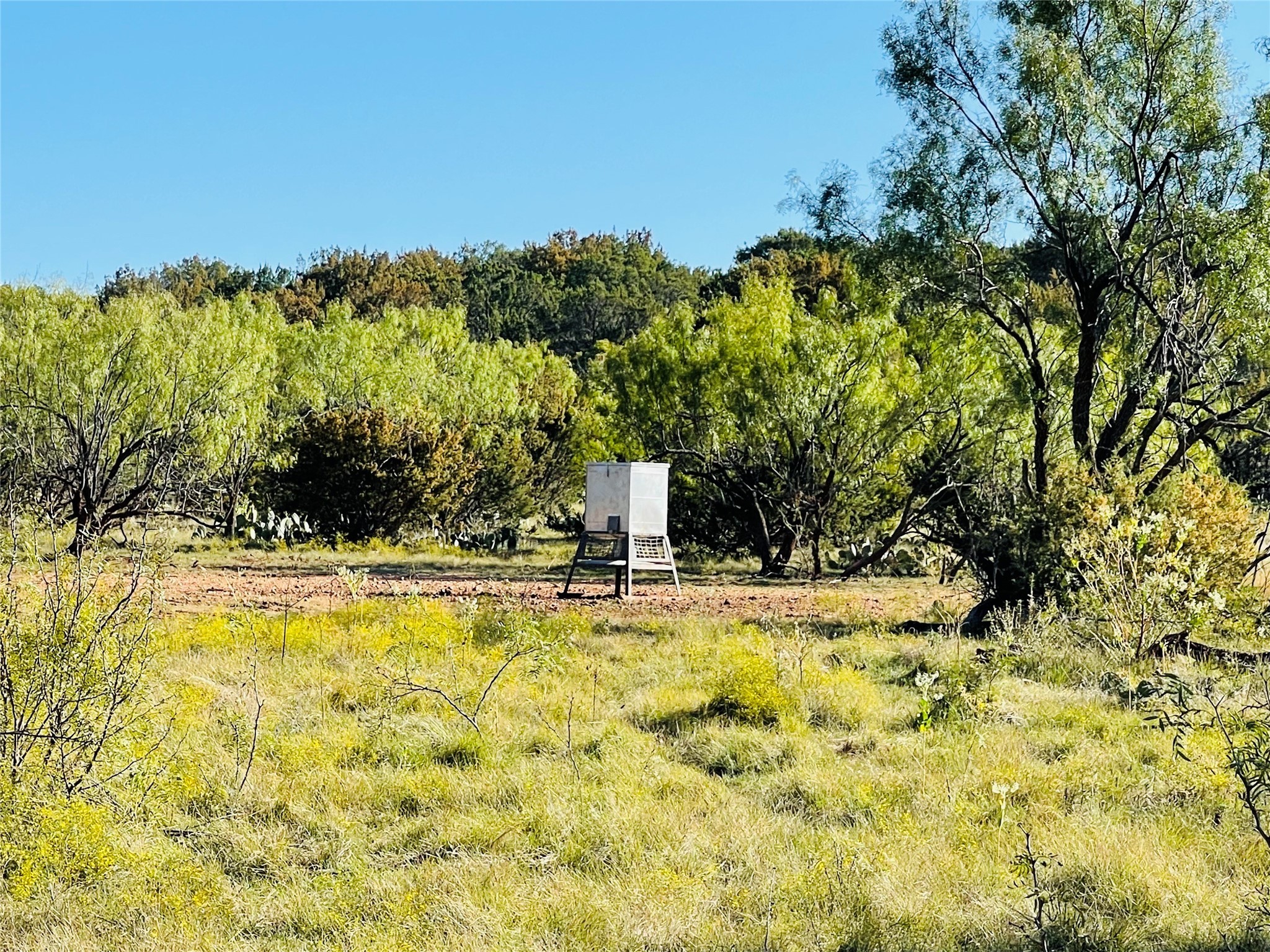 1089 Tennyson Road Bronte TX 76933