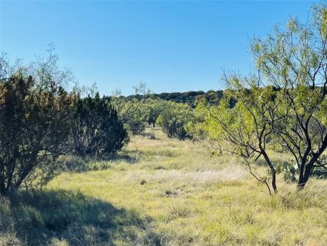 1089 Tennyson Road Bronte TX 76933