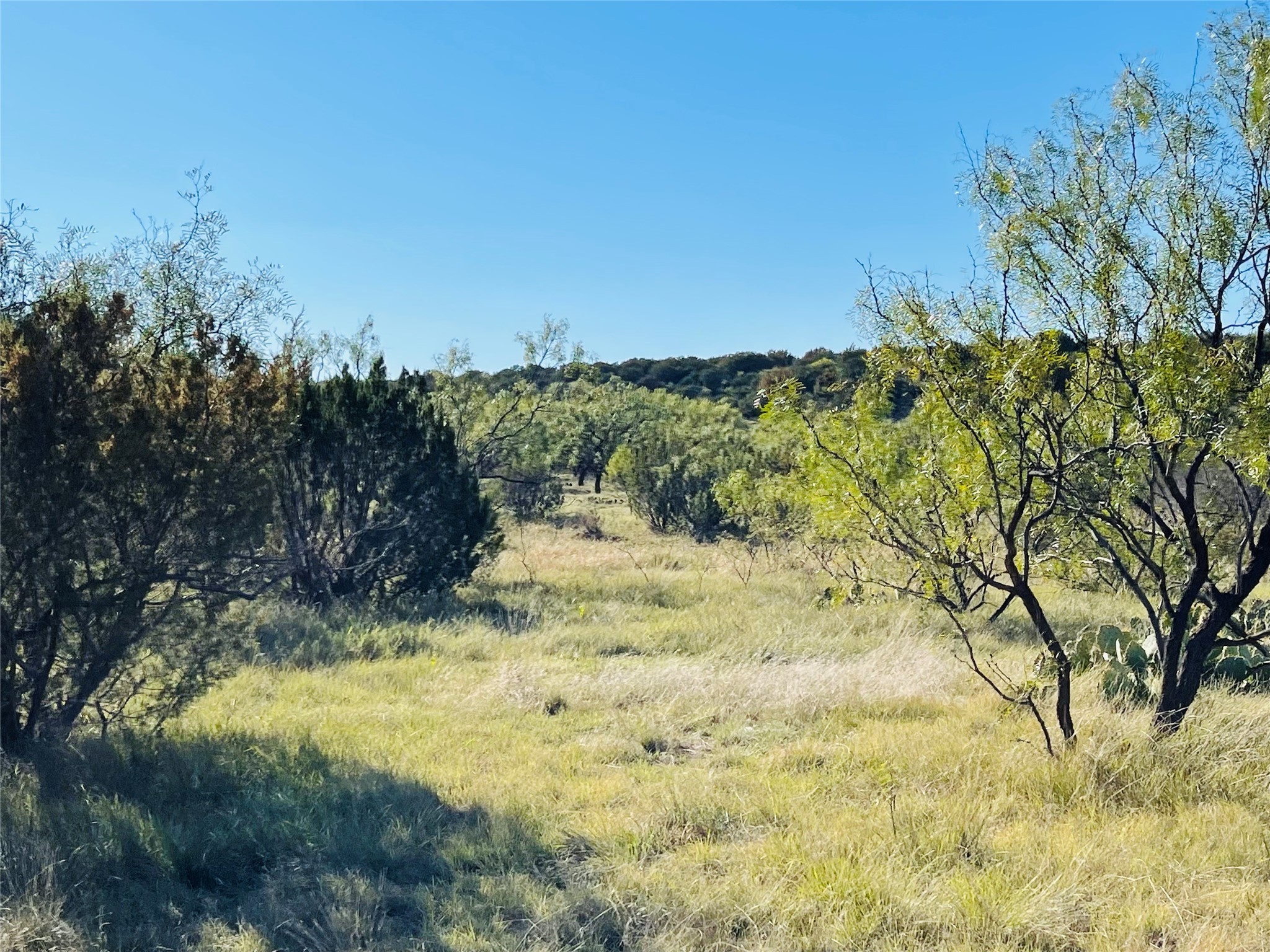 1089 Tennyson Road Bronte TX 76933