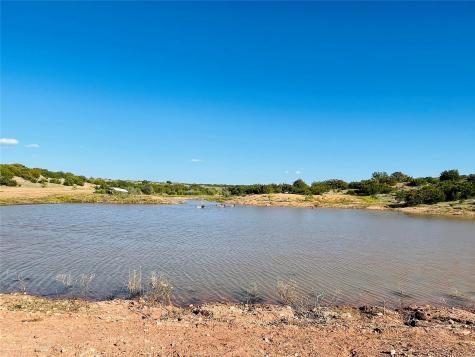 1089 Tennyson Road Bronte TX 76933
