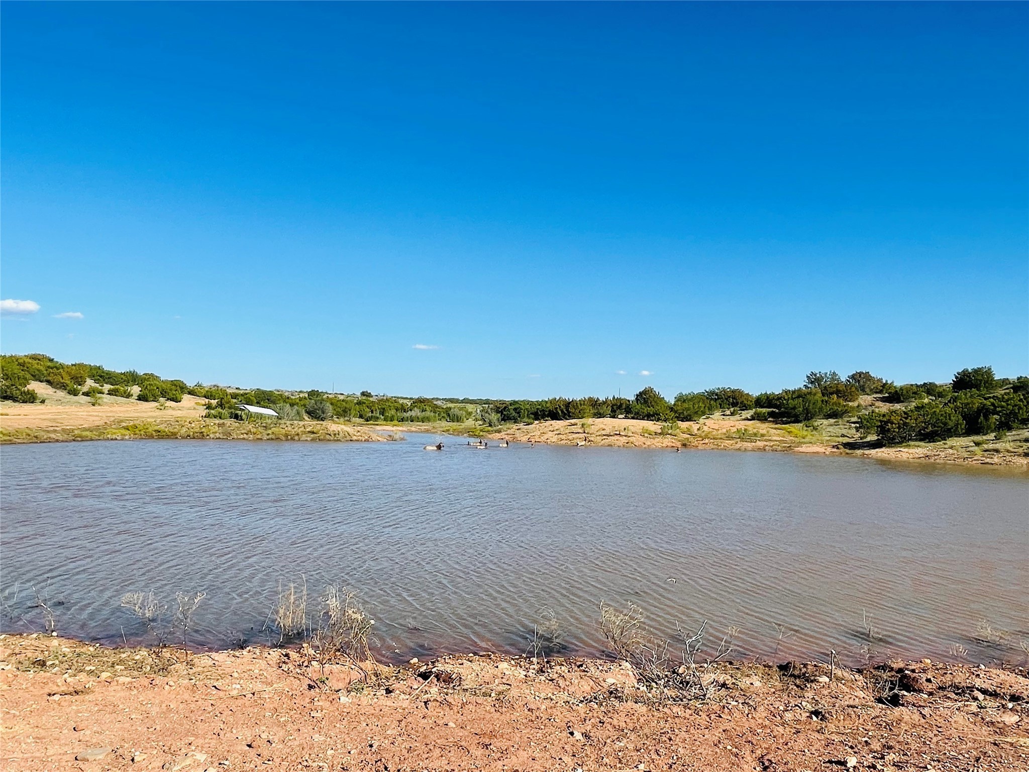 1089 Tennyson Road Bronte TX 76933