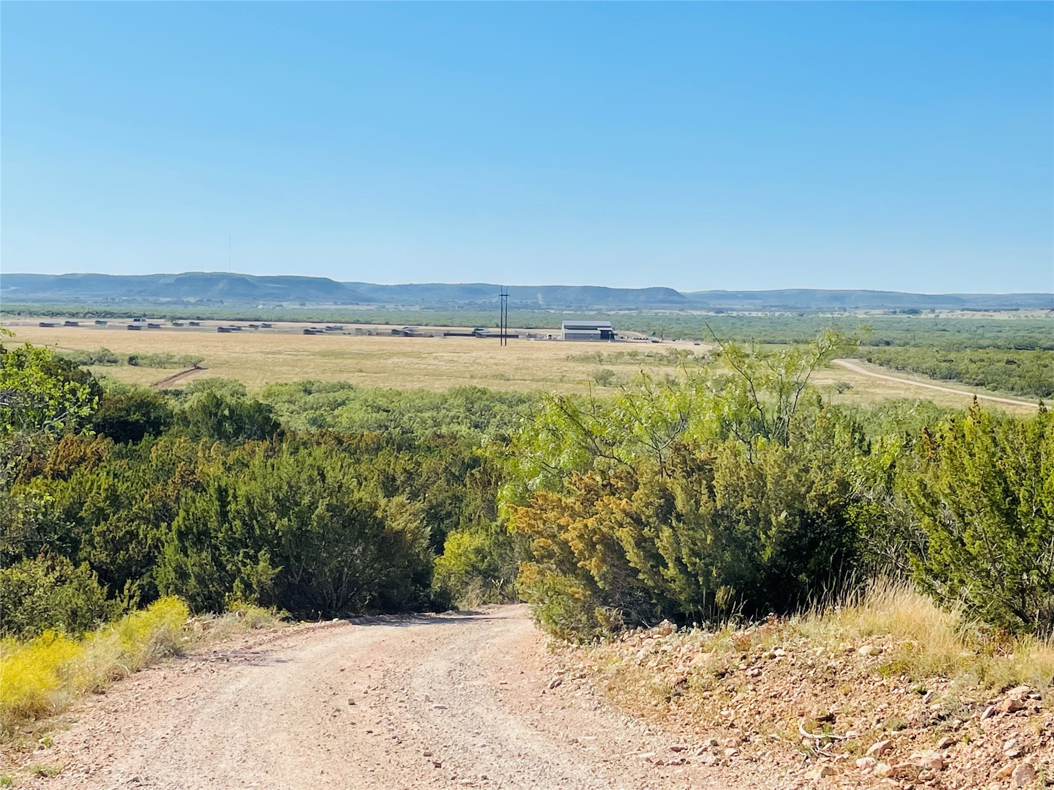 1089 Tennyson Road Bronte TX 76933