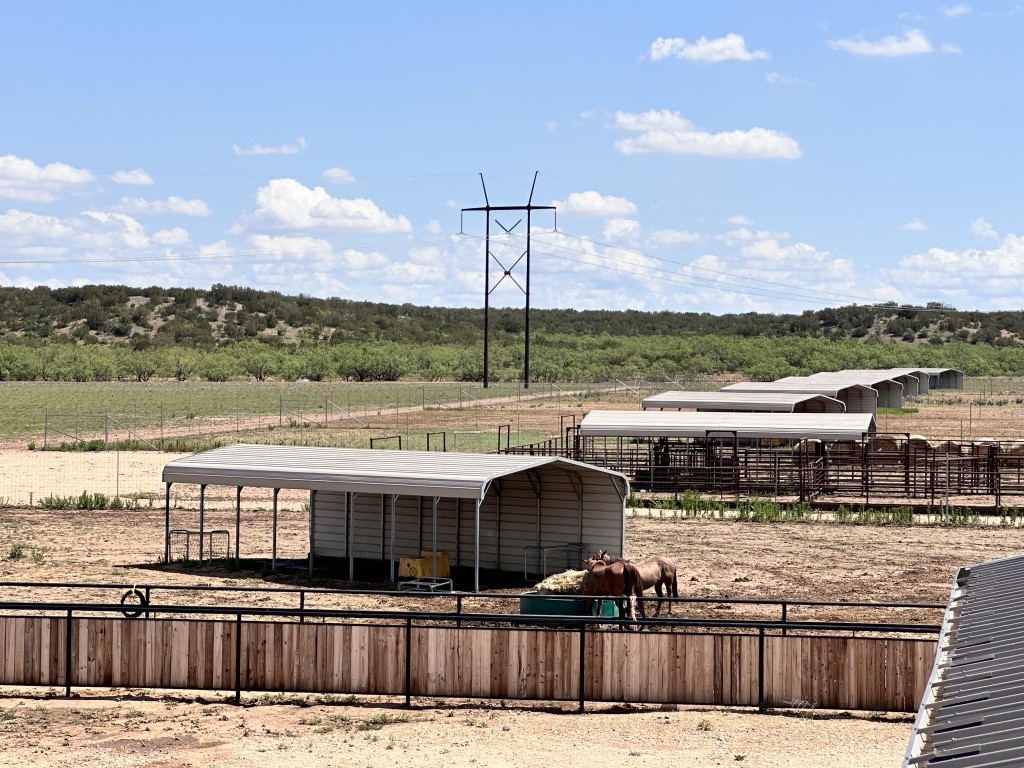 1089 Tennyson Road Bronte TX 76933