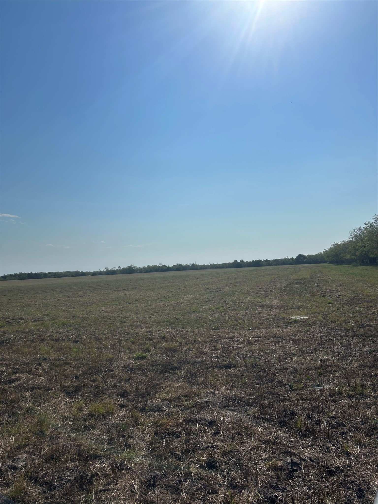 Tbd Quail Lane Terrell TX 75160