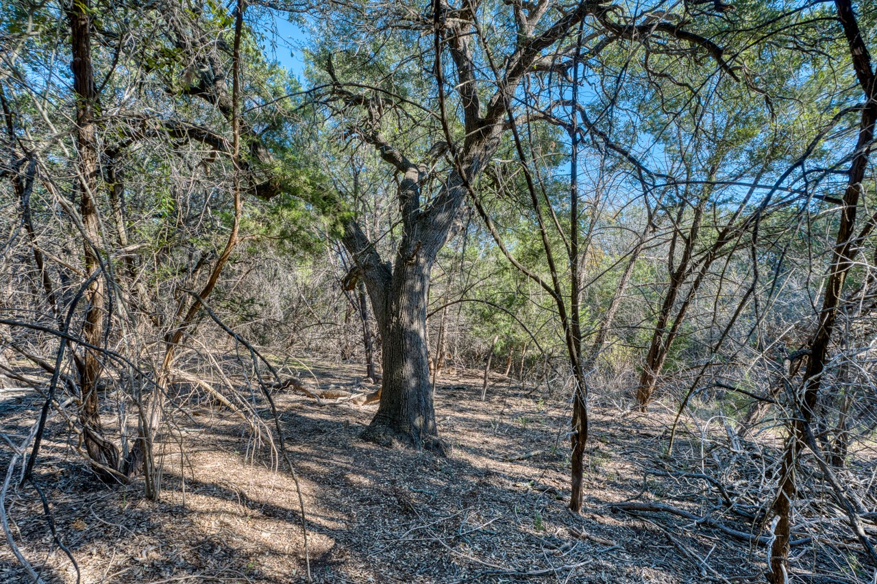 20949 Firefly Road Salado TX 76571