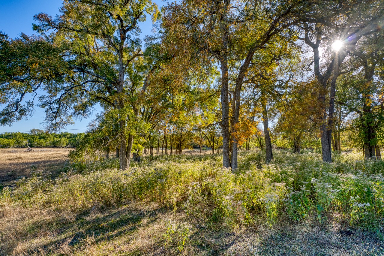 20949 Firefly Road Salado TX 76571