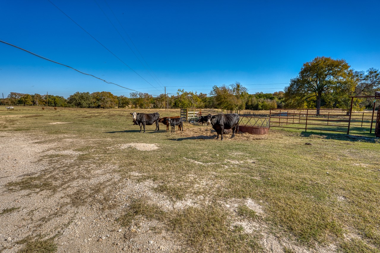 20949 Firefly Road Salado TX 76571