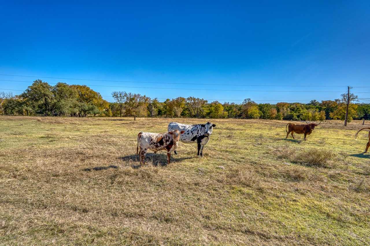 20949 Firefly Road Salado TX 76571