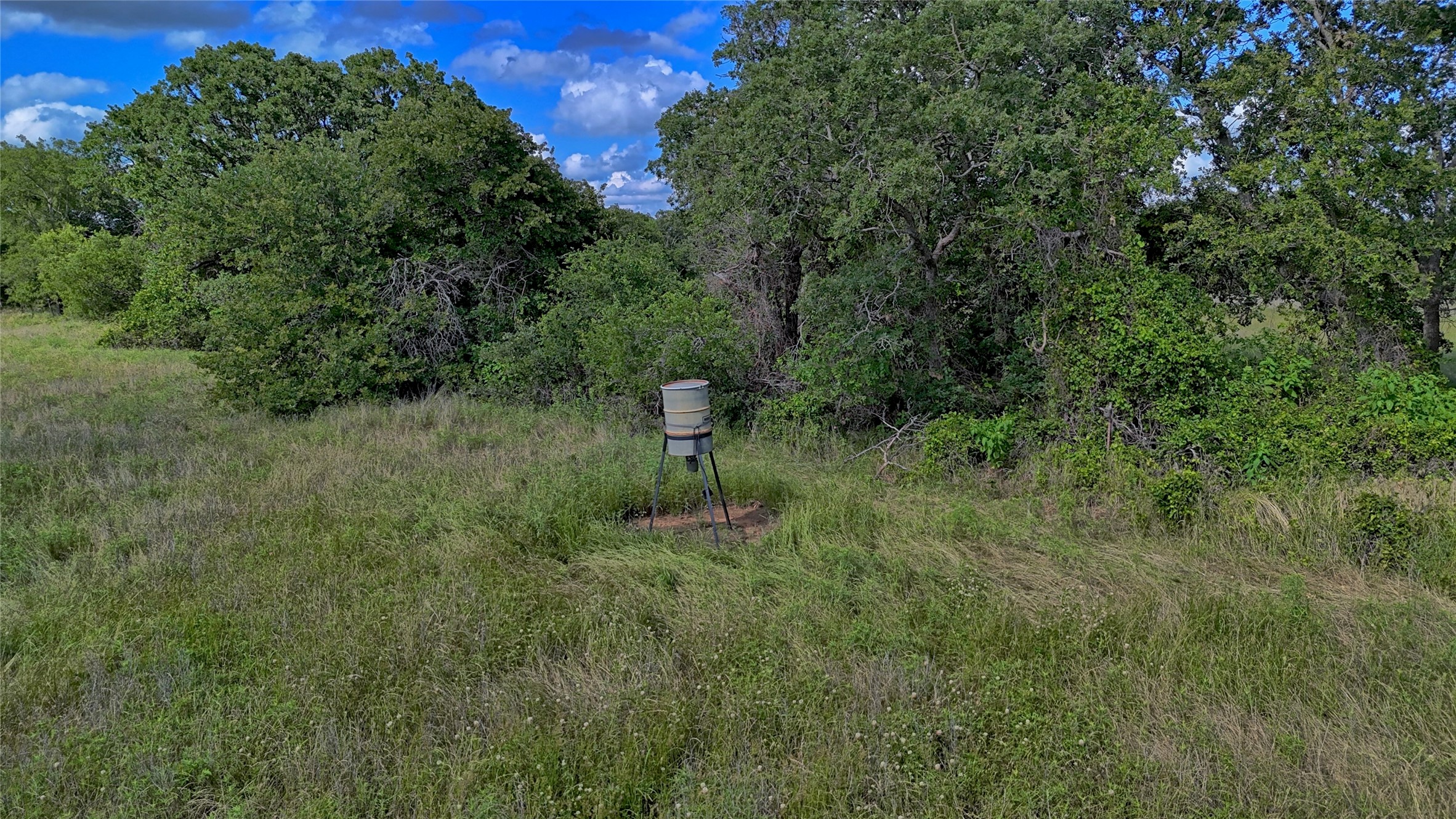 1494 Alamo Road Montague TX 76251