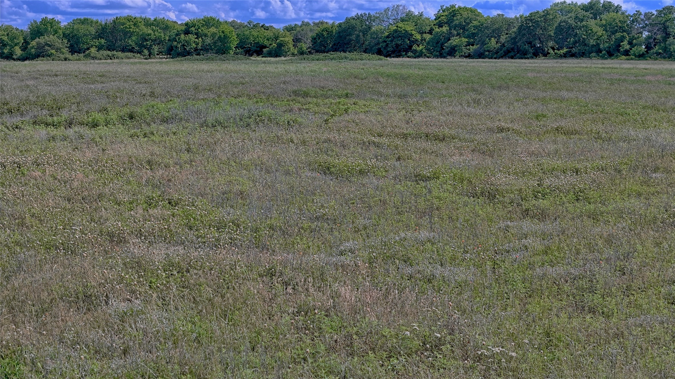1494 Alamo Road Montague TX 76251