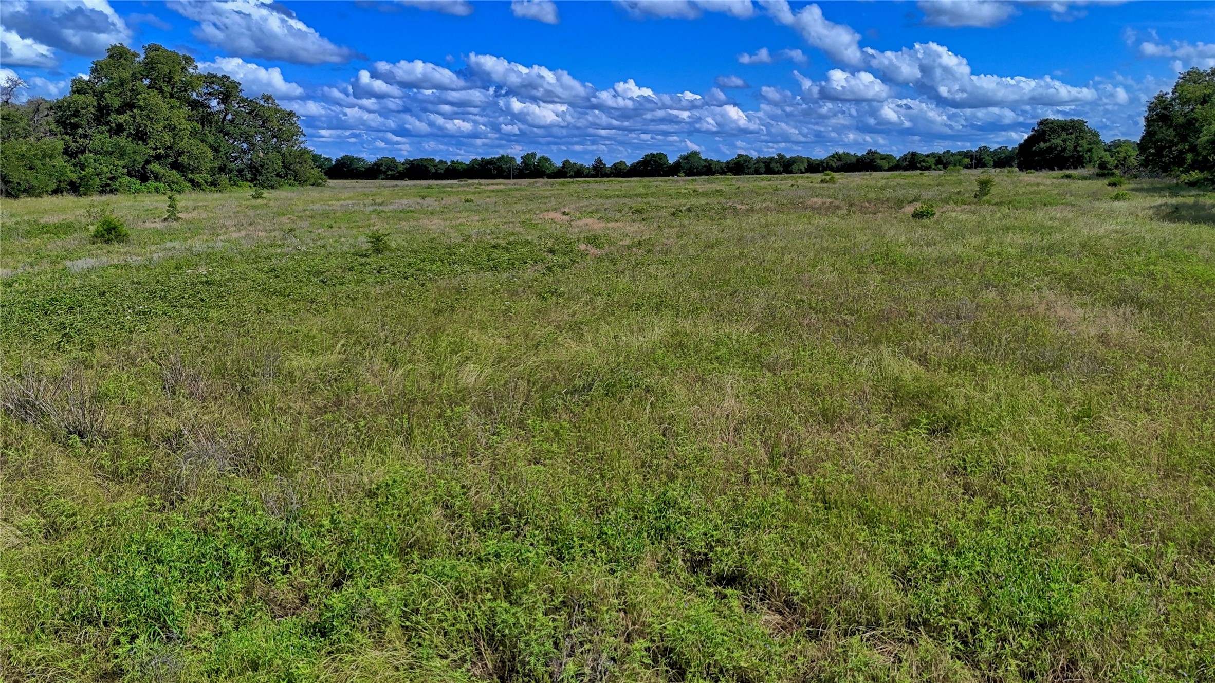 1494 Alamo Road Montague TX 76251