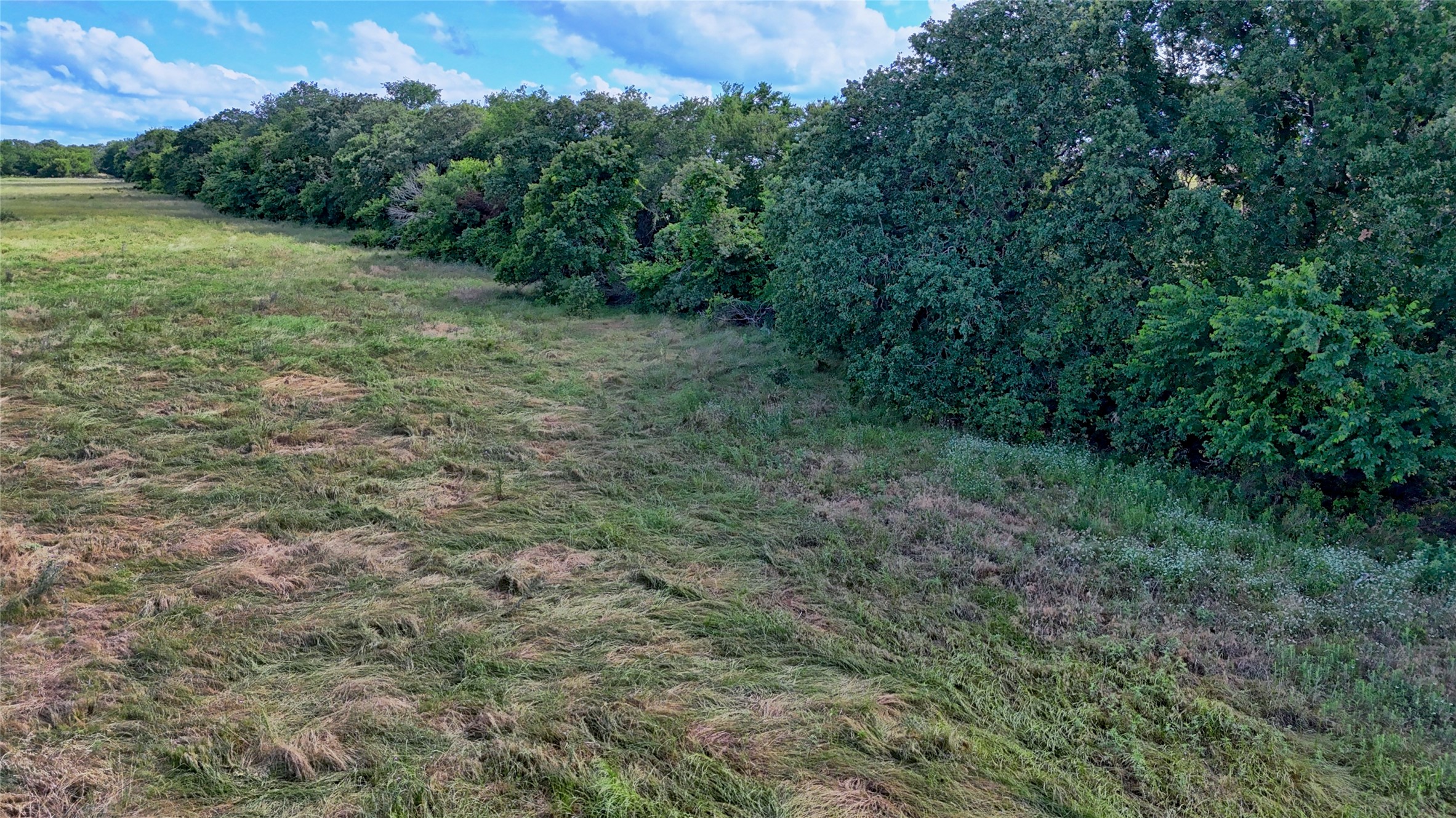 1494 Alamo Road Montague TX 76251