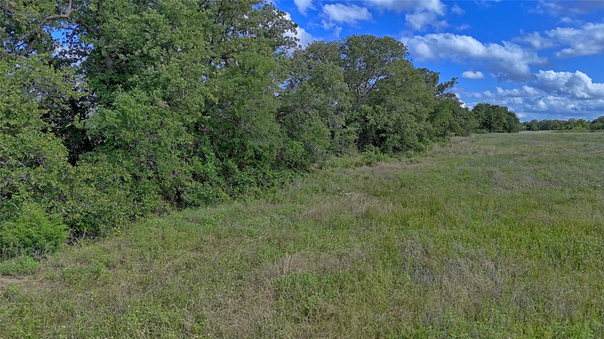 1494 Alamo Road Montague TX 76251